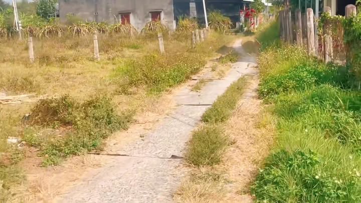 Đất Nền Hàm Mỹ, Bình Thuận 500m² - Sổ Hồng Sẵn, Giá 1.45 Tỷ