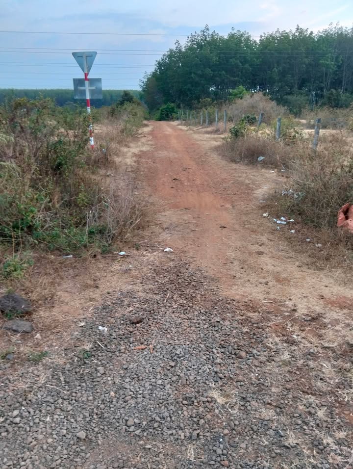 Bán gấp Đất Xưởng 3780m² Tỉnh lộ 664, Gia Lai - Giá 45 Tỷ