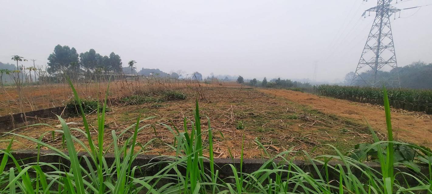 Bán Đất Lô Góc Đồng Tâm, Vĩnh Phúc - 97m² Thổ Cư, Sổ Mới, Giá 1.8 Tỷ