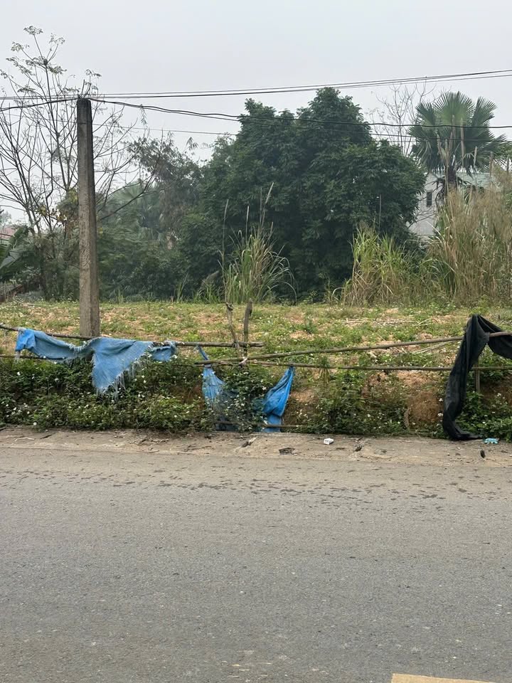 Bán Đất Mặt Đường Lớn Việt Trì 100m² - Sổ Đỏ Rõ Ràng, Giá 1 Tỷ