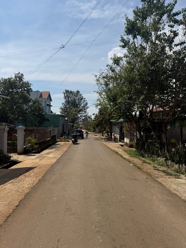 Bán Đất Phường 5 Đà Lạt 300m² - 2.78 Tỷ, Đất Đẹp Nghỉ Dưỡng