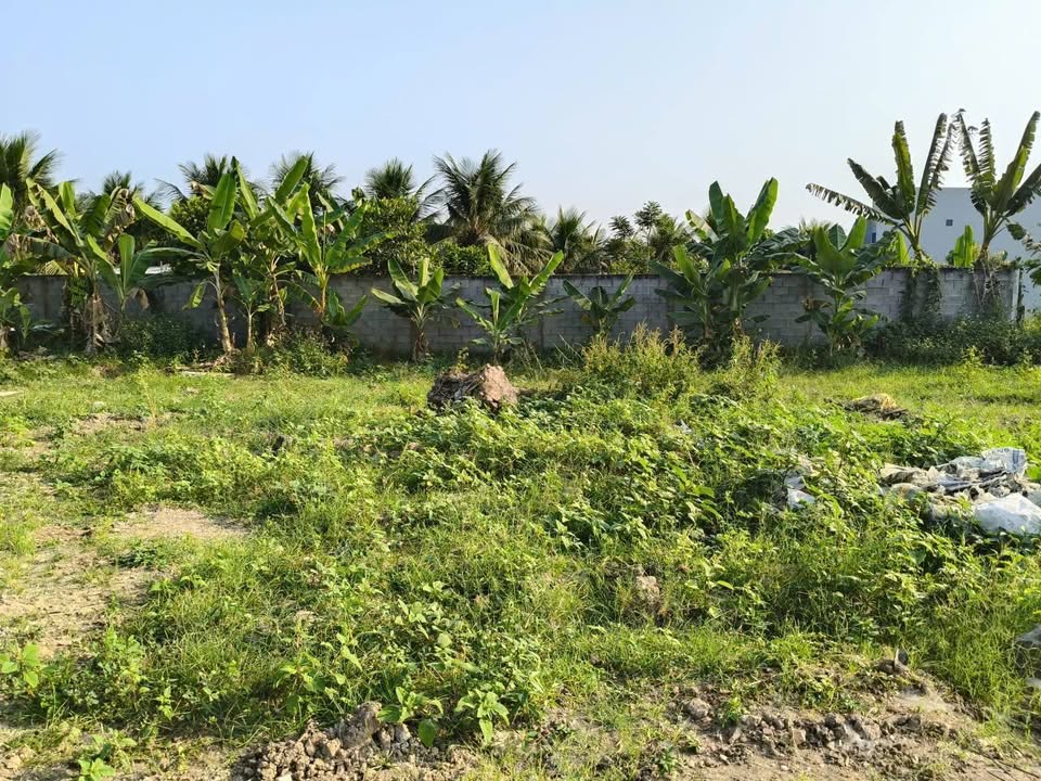 Bán Đất 300m² Hướng Chánh Bắc, Mỹ Phong, Mỹ Tho - Sổ Hồng Full Thổ Cư