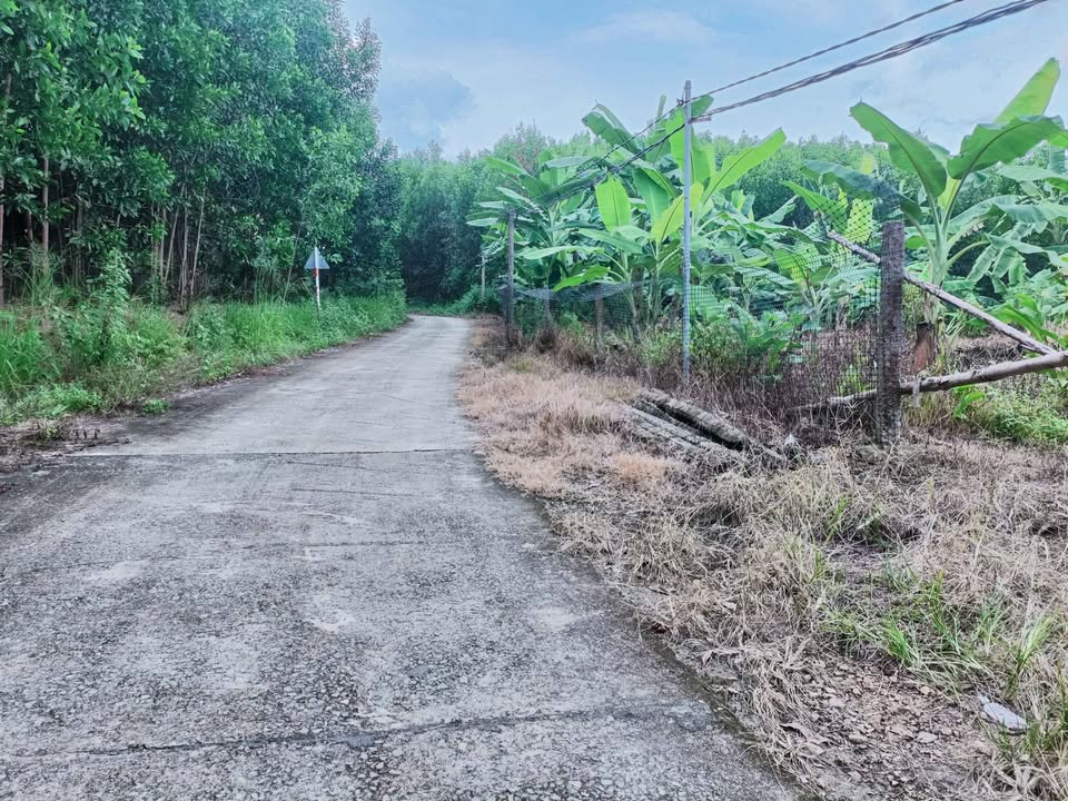 Đất vườn Khánh Vĩnh 3000m² - Sinh thái xanh, sổ đỏ sẵn sàng!