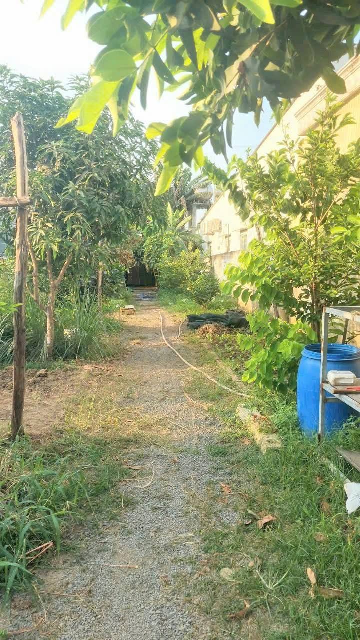 Đất nền Thạnh Phú Vĩnh Cửu 232m² giá 2.1 tỷ - Tiềm năng tăng giá vượt trội!