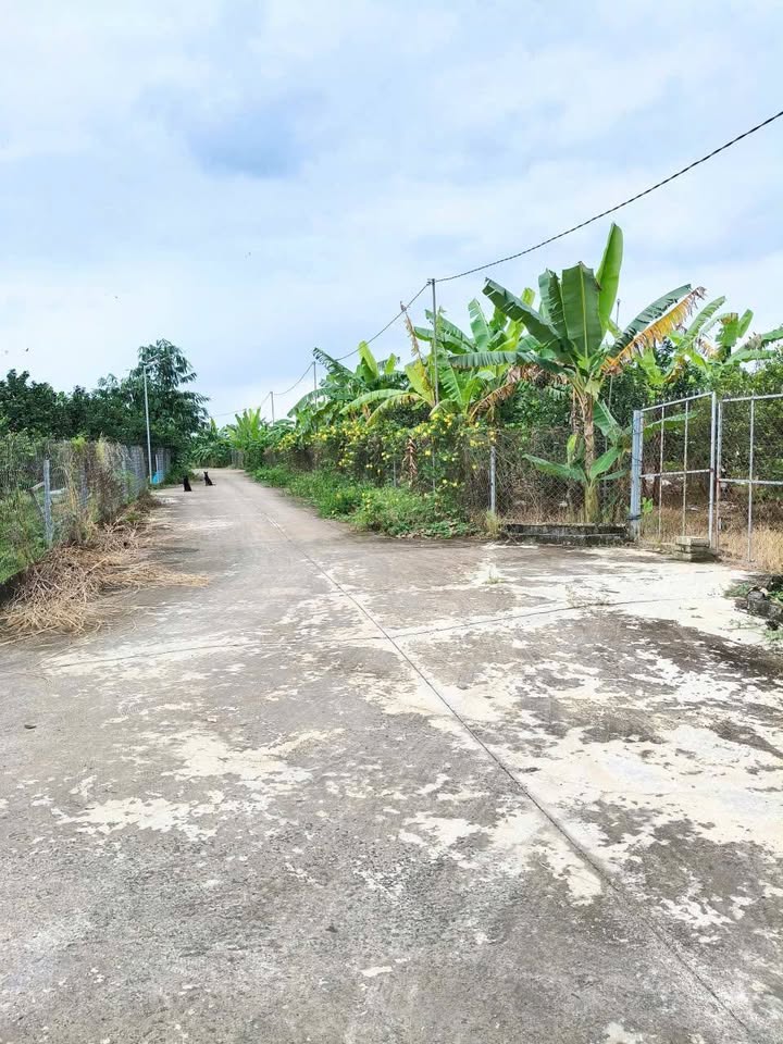 Đất Vườn Tân Triều Vĩnh Cửu 1000m² - Sổ đỏ chính chủ, đường lớn ô tô!