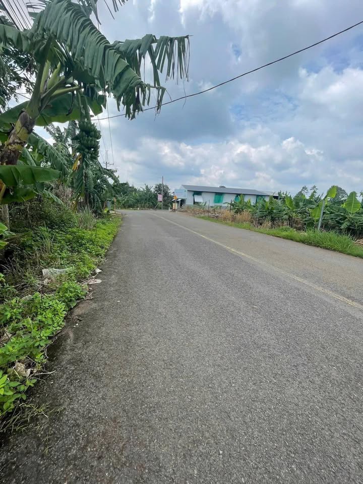 Bán Gấp Đất Vàng 1200m² Mặt Tiền Nhựa Suối Đá, Đồng Nai - Giá F0