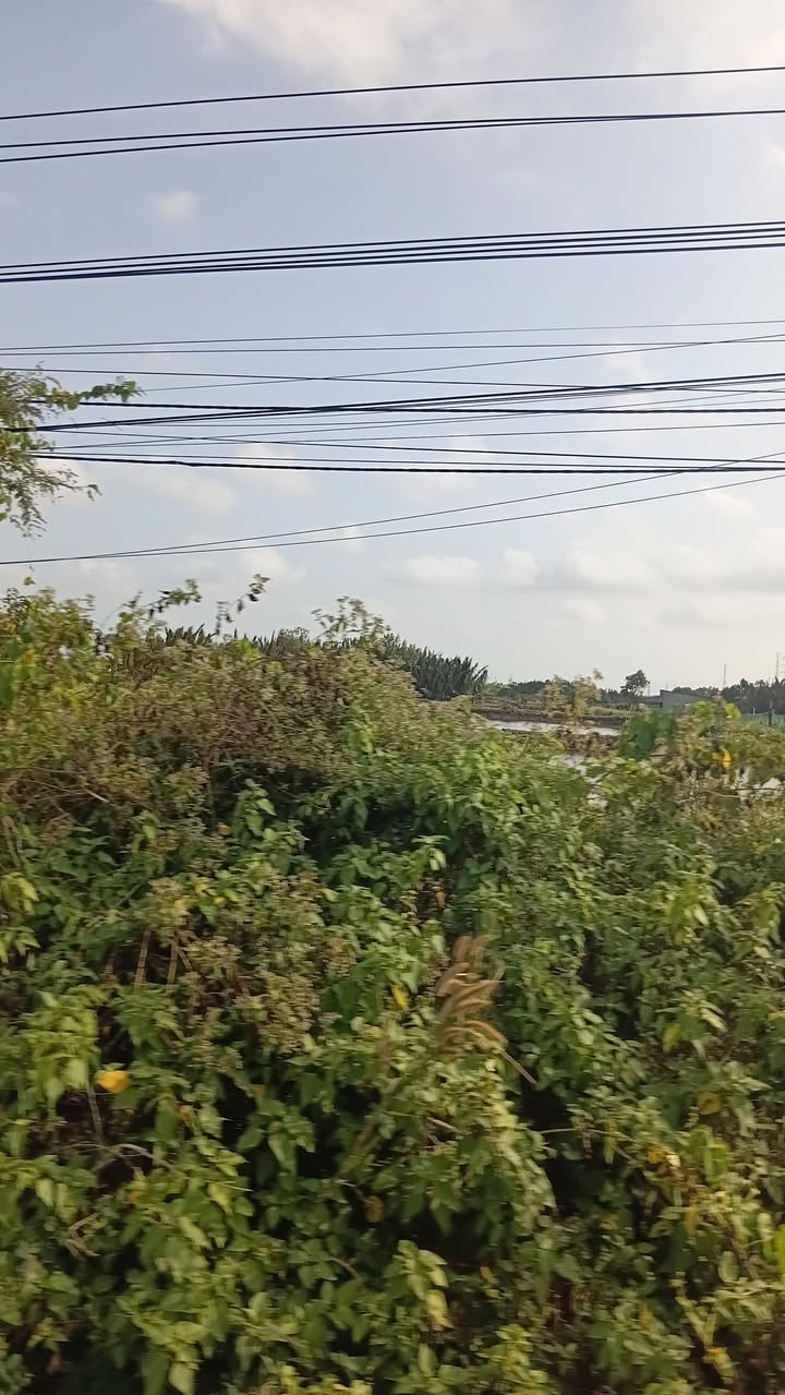 Đất Mặt Tiền Đường Số 1, Trà Vinh - 10920m² Giá Đầu Tư