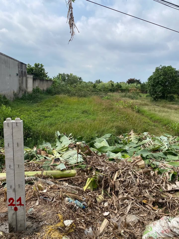 Bán Gấp 3 Nền Đất Mặt Tiền Mậu Thân, Trà Vinh - 1.7 Tỷ/Nền