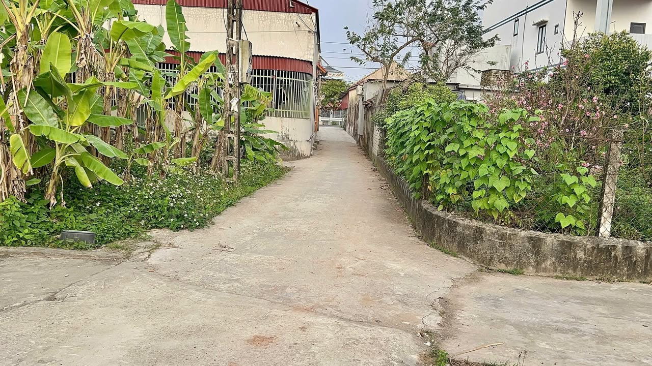 Đất nền Giao Hà, Giao Thủy 227m² chỉ từ 8xx triệu - Tiềm năng tăng giá!