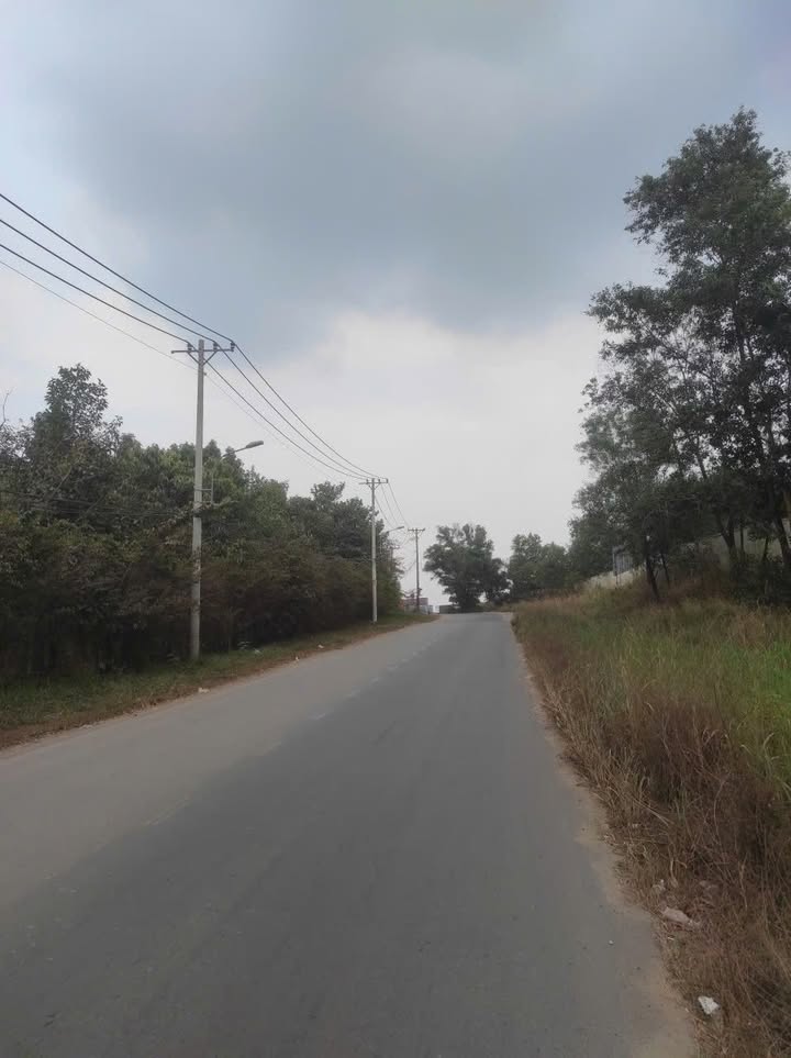 Bán Đất Vàng Phường Long Bình, TP.HCM - 13.5 Hecta, Mặt Tiền Nhựa