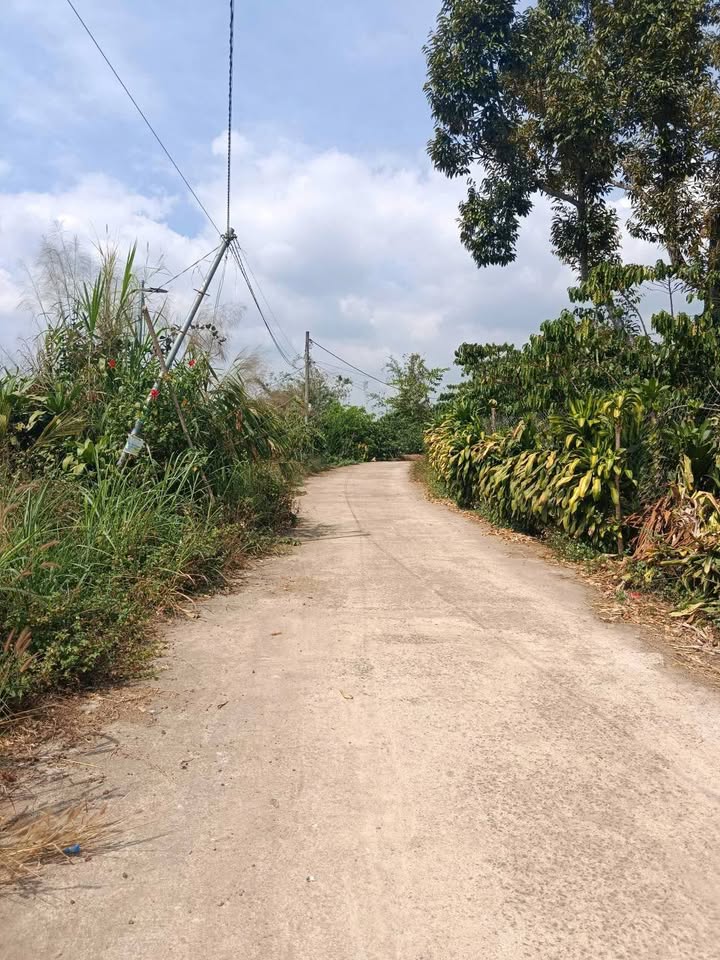 Đất Nền Bảo Lâm 802m² - Sổ Đỏ Thổ Cư, Ôm Suối Giá Đầu Tư Tết