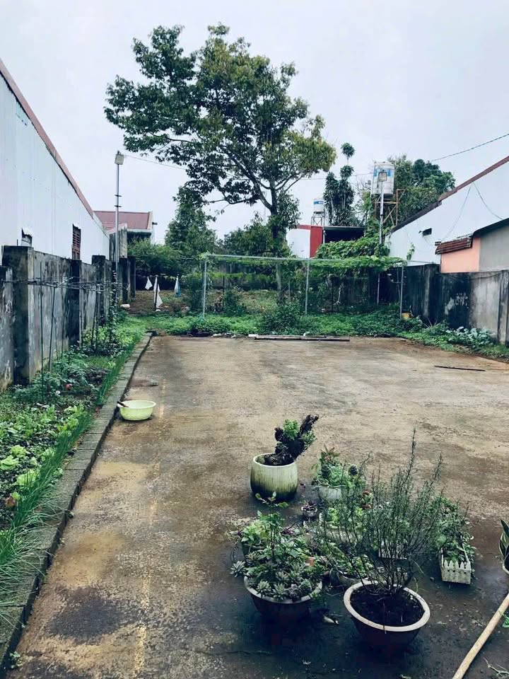 Đất nền Bảo Lộc 514m² Hẻm 71 Trần Nguyên Hãn - Sổ đỏ chính chủ!