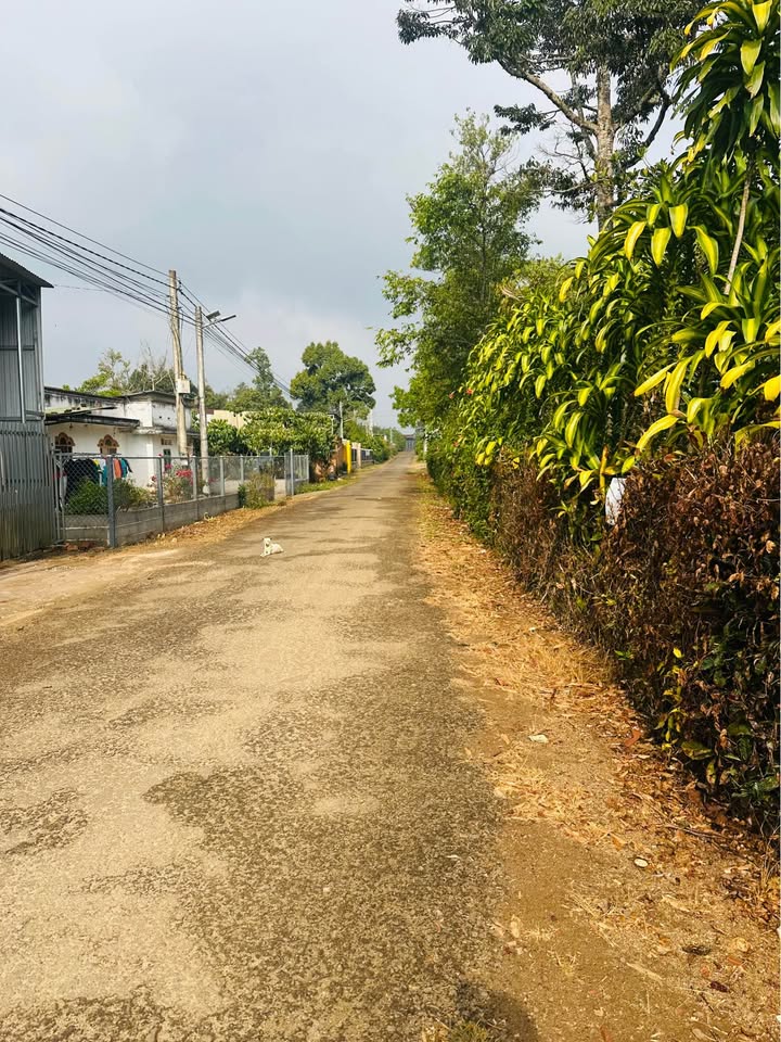 Đất thổ cư 80m² Hẻm Lê Đại Hành, Bảo Lộc - Giá 900 triệu