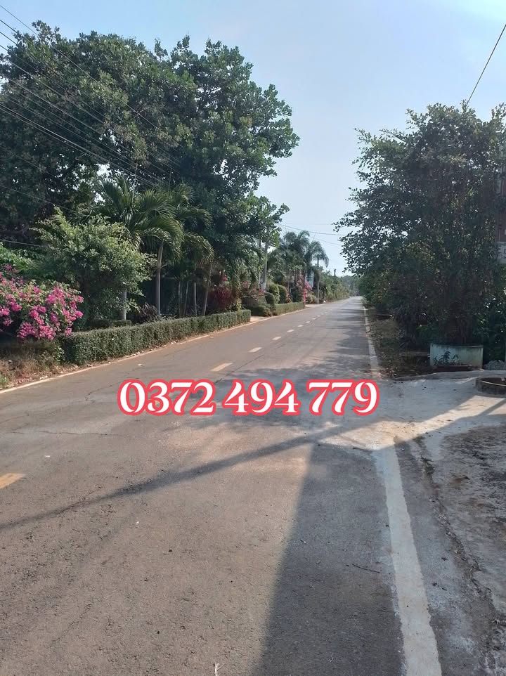 Đất nền Định Quán 203m² - Giá tốt hiếm có