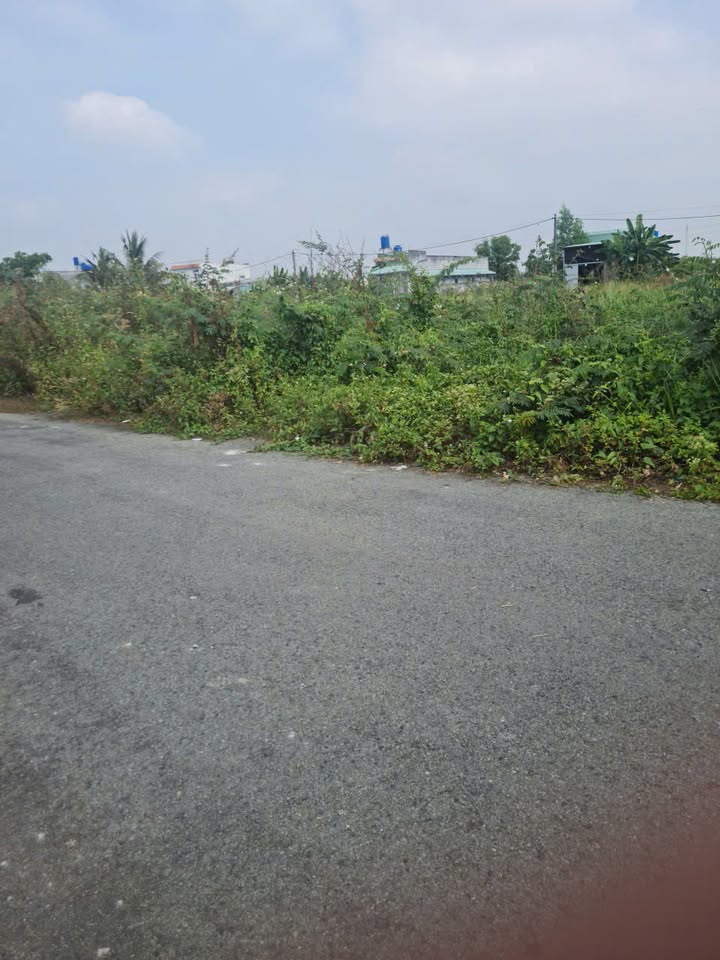 Lô đất Tân Đức - Đức Hòa 183m² giá 3.65 tỷ - Sổ hồng chính chủ!