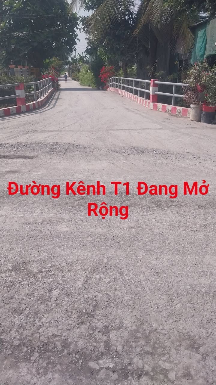 Đất nền Long Trì, Châu Thành, Long An 135m² - Tiềm năng tăng giá