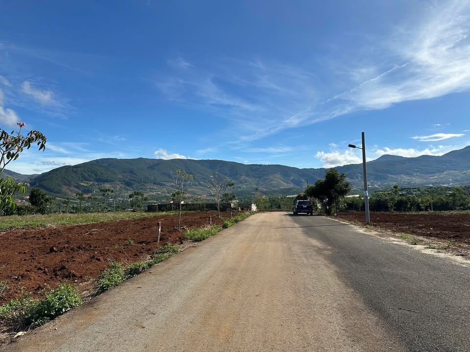 Đất nền Lâm Hà: 300m² mặt tiền đường nhựa, giá F0 đón Tết