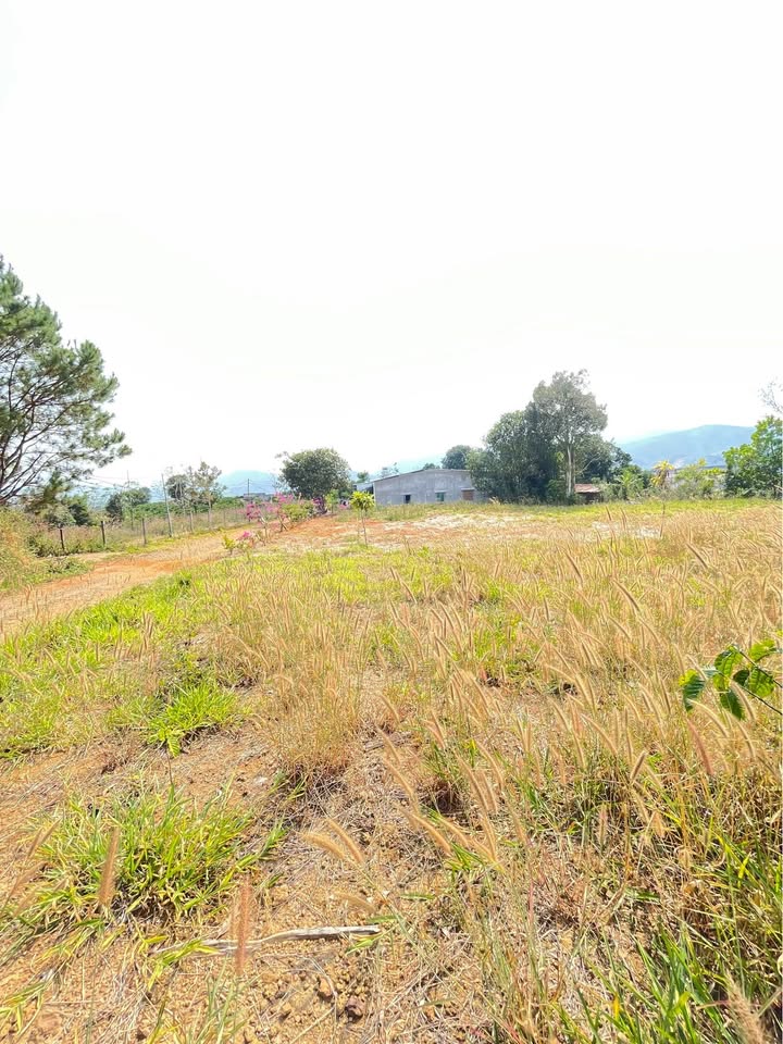 Đất nền Phường 3 Bảo Lộc 1710m² - Tiềm năng tăng giá vượt trội!