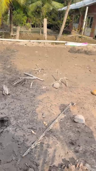 Đất Mặt Tiền Sông Mỏ Cày Nam, Bến Tre - 352m² Giá Chỉ 390 Triệu