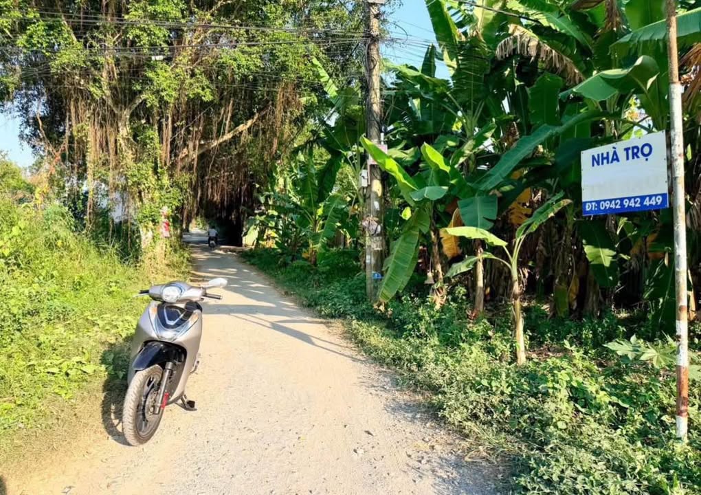 Đất nền Trà Vinh 105m² - Hẻm ô tô trục thẳng, giá tốt!