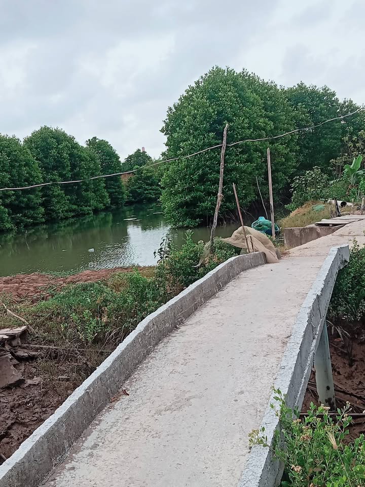 Bán Đất Ao 20.000m² Nuôi Trồng Gần Biển Ba Động - Giá 3 Tỷ