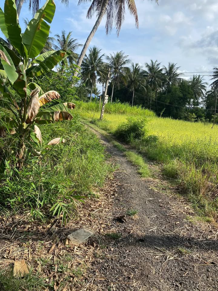 Đất nền Chí Thạnh, Tuy An 600m² chỉ 3xx triệu - Tiềm năng tăng giá cực lớn!