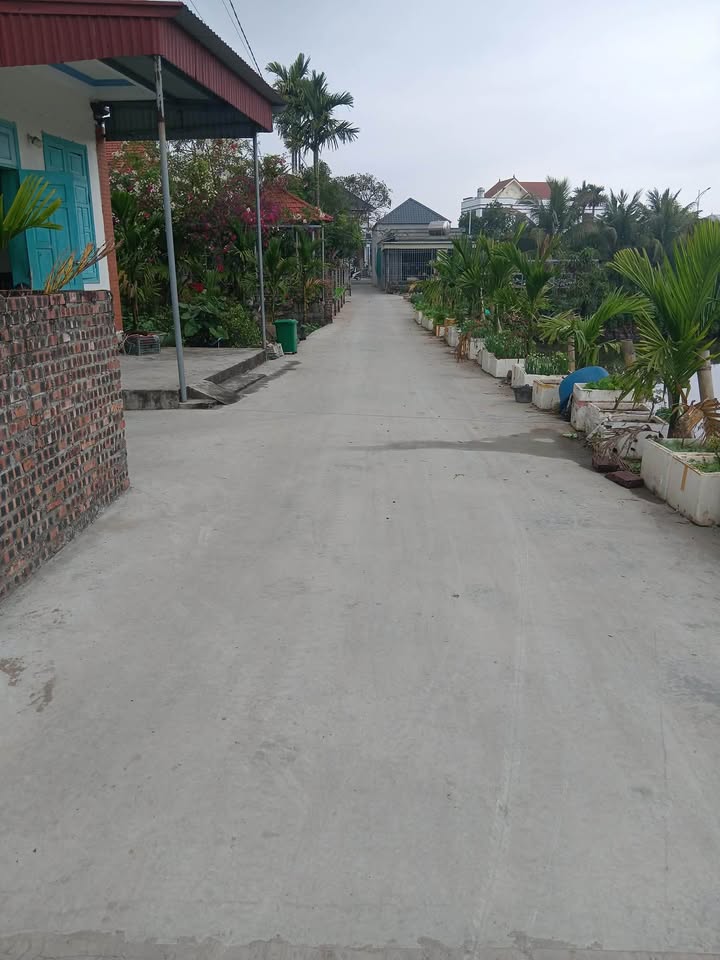 Đất nền Tân Phong Kiến Thụy 70.4m² - Sổ đỏ chính chủ, ô tô vào tận nơi