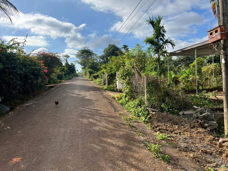 Đất Vàng 1050m² MT 12m Phường Tân Lập, Buôn Ma Thuột - Kinh Doanh/Vườn/Kho