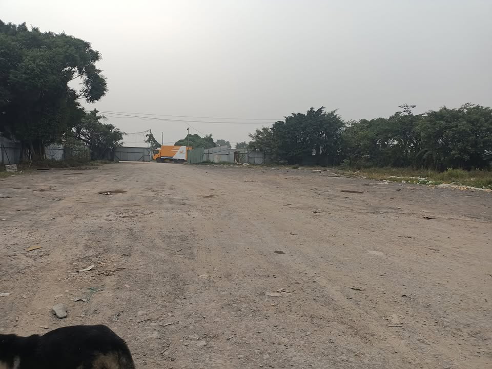 Cho thuê kho bãi Ngọc Hồi 4000m² giá 72 triệu - Container vào tận nơi