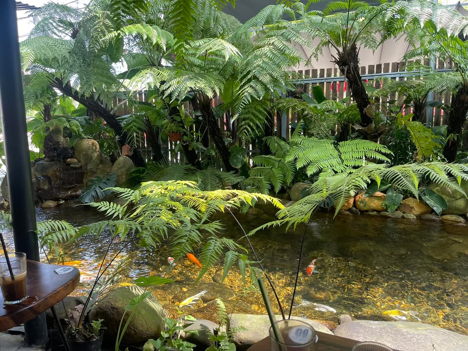 Đất nền Võ Duy Ninh, Sơn Trà 72m² - Tiềm năng tăng giá vượt trội!