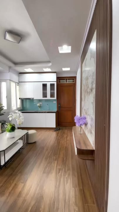 Căn hộ mini Phương Mai, Đống Đa 55m² full nội thất cao cấp