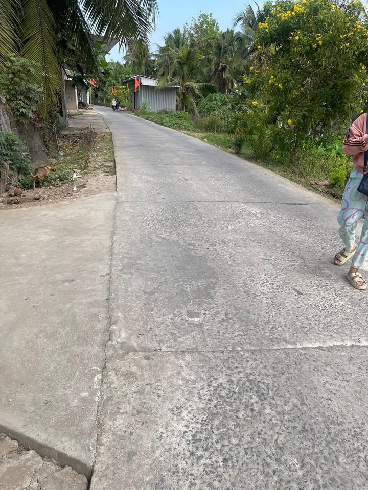 Đất Mặt Tiền HL29 Bến Tre - 412m² Thổ Cư, Kinh Doanh Tốt - 1.15 Tỷ