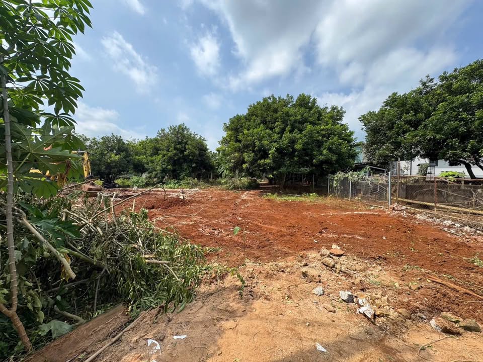 Đất Vàng Phường Long Tâm, Bà Rịa - 484m² Sổ Đỏ, Giá 2.5 Tỷ