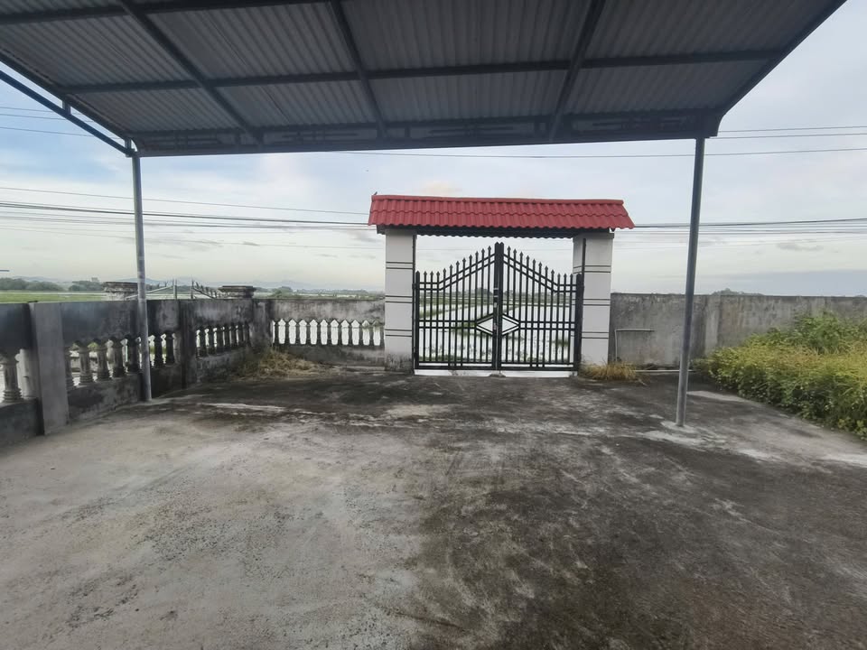 Đất nền Nhà Yến Phú Hậu, Cát Chánh 910m² - Tiềm năng tăng giá vượt trội!