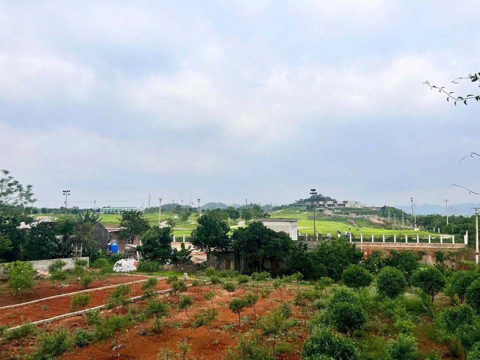Đất nền 1500m² Phường Trung Sơn, Tam Điệp - View Sân Golf, Giá Tốt