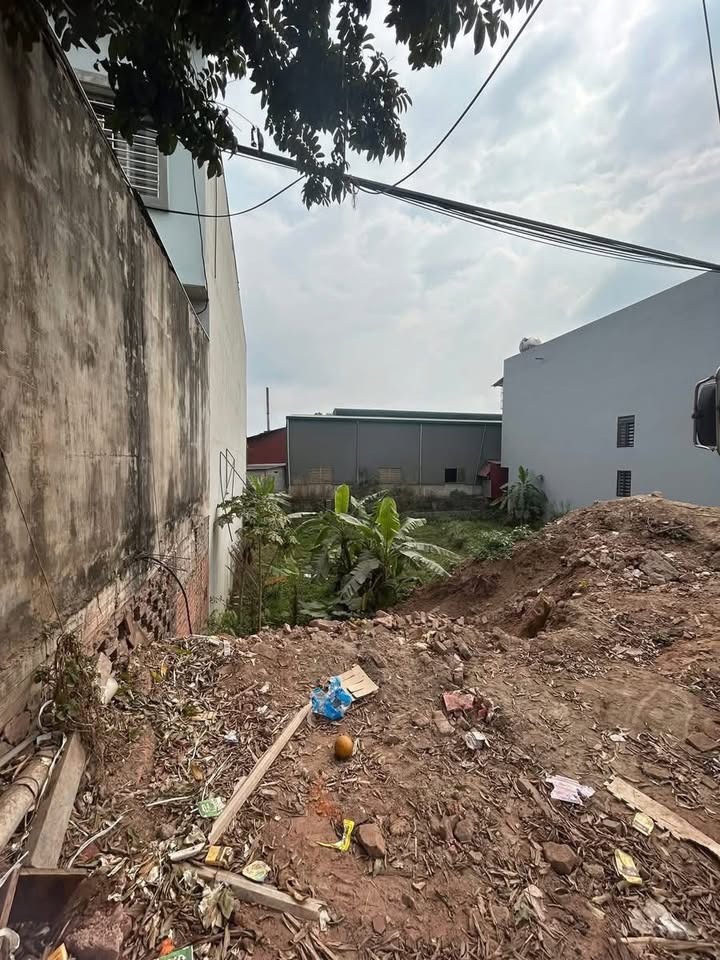 Đất thổ cư 100m² mặt tiền QL31 Lục Ngạn - Cơ hội đầu tư sinh lời