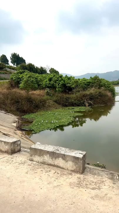 Đất Vườn Kiên Lao, Bắc Giang: 2200m² View Hồ, 2 Mặt Tiền Thoáng, Sổ Hồng Sẵn Sàng