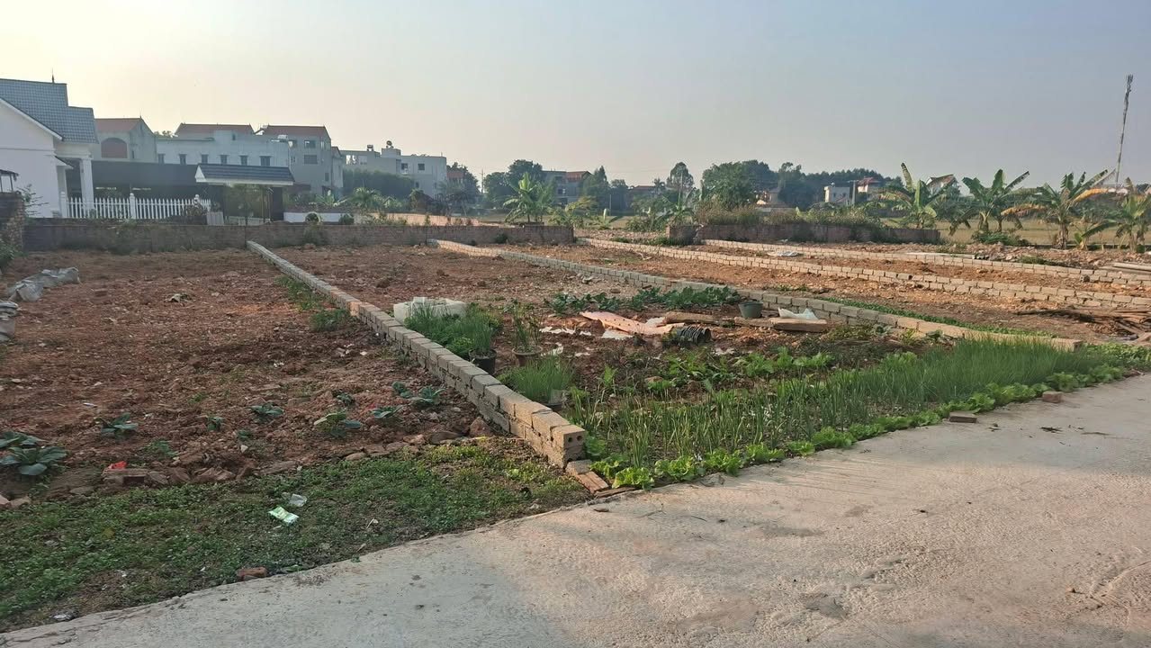 Đất Nền Bắc Giang 101m² - Sổ Đỏ Sẵn Sàng, Giá Đầu Tư 8xx Triệu