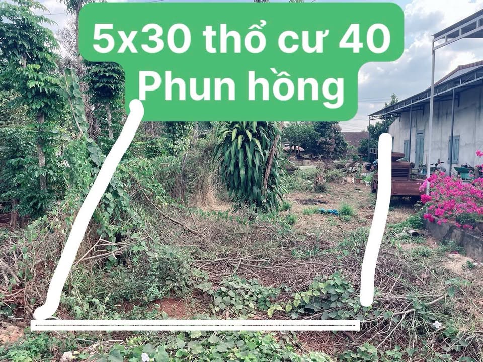 Đất nền Mai Hắc Đế Cư M'gar 150m² - Sổ đỏ chính chủ!