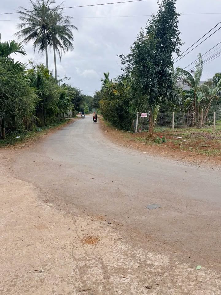 Nhà Mặt Tiền Mậu Thân, Buôn Ma Thuột - Kinh Doanh Sầm Uất, 100m², 1.25 Tỷ