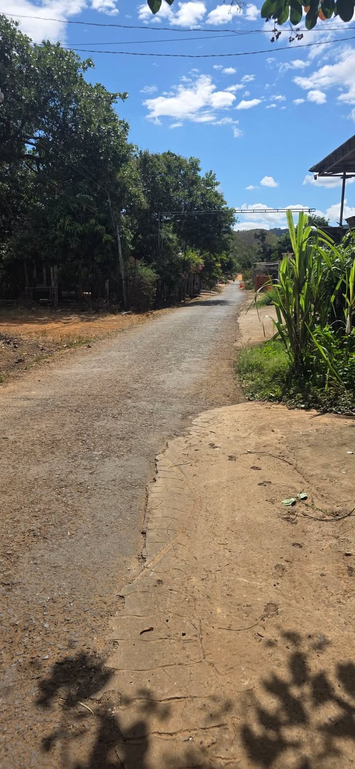 Đất nền Đoàn Kết Bù Đăng 1600m² - Đường to ô tô, tiềm năng lớn!