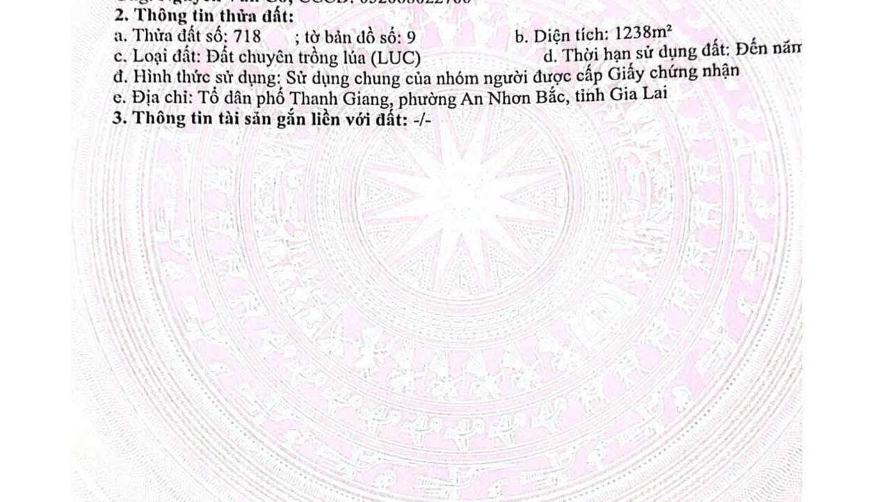 Đất vườn Thanh Giang 1200m² Bình Định - Tiềm năng đầu tư dài hạn