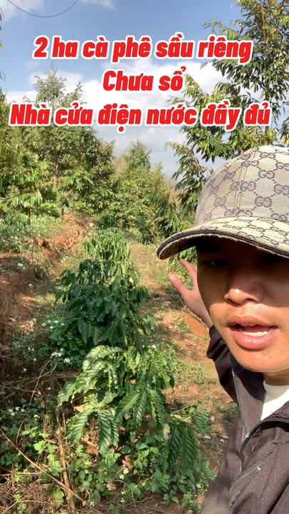 Đất vườn Nâm N'Đir Krông Nô 2ha giá 2.6 tỷ - Tiềm năng đầu tư dài hạn!