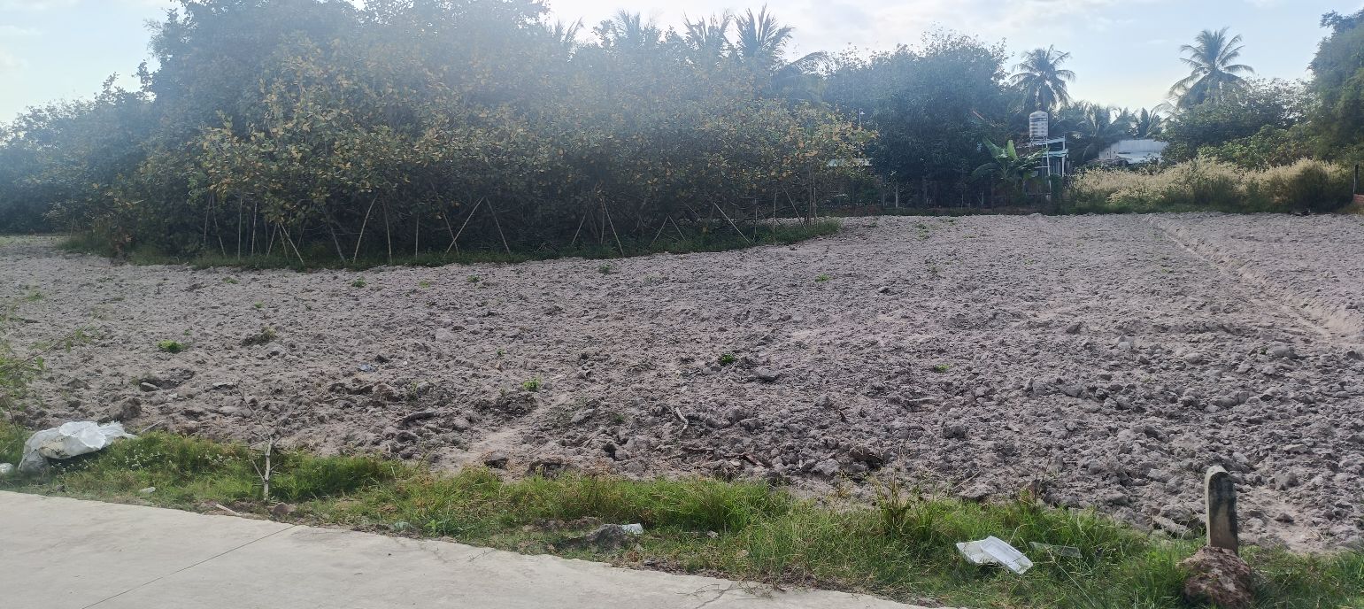 Đất Vàng Xã An Cơ, Châu Thành: 320m² Thổ Cư, Sổ Hồng Sẵn Sàng - Đầu Tư Sinh Lời