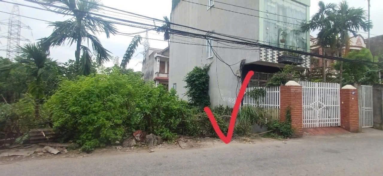 Đất Vàng Mặt Tiền An Trì 1, Hồng Bàng, Hải Phòng - 188.6m² - Giá 29 Triệu/m²