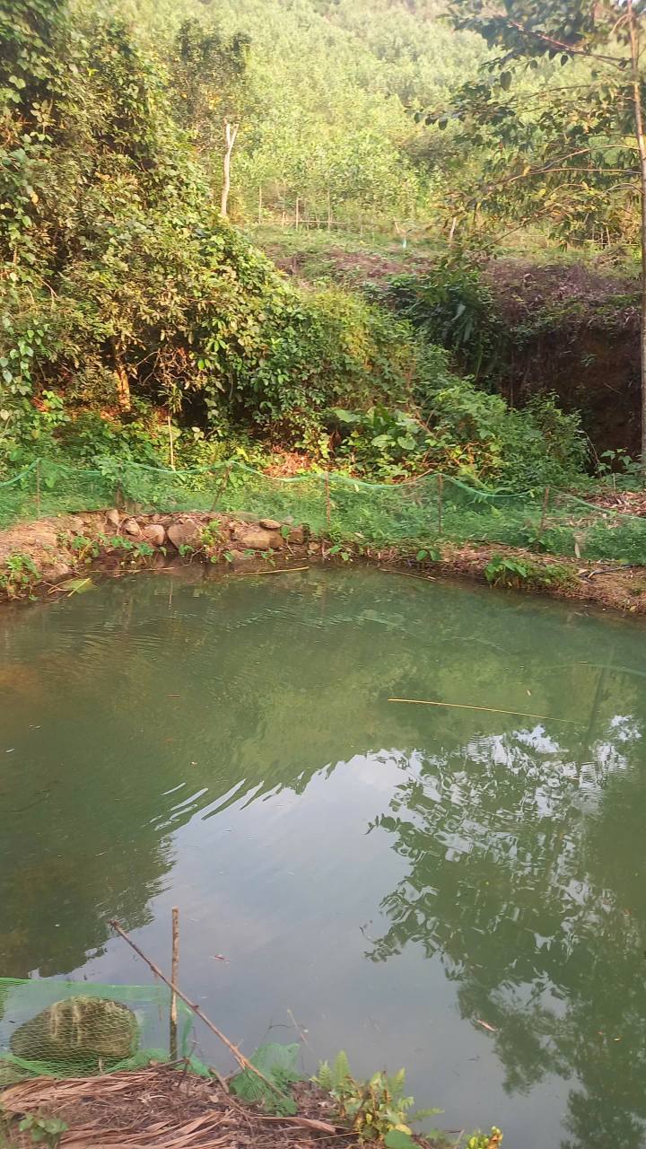 Bán Gấp Đất Farm 7ha Kim Bôi, Hòa Bình - Sổ Đỏ Sẵn Sàng