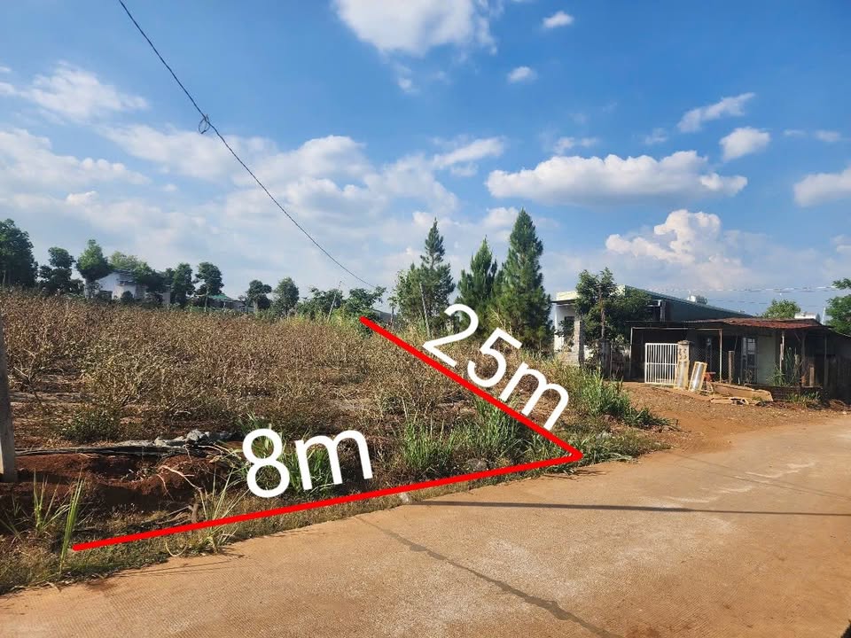 Đất nền Hẻm Bùi Viện, Pleiku 123m² - Sổ đỏ chính chủ, giá tốt!