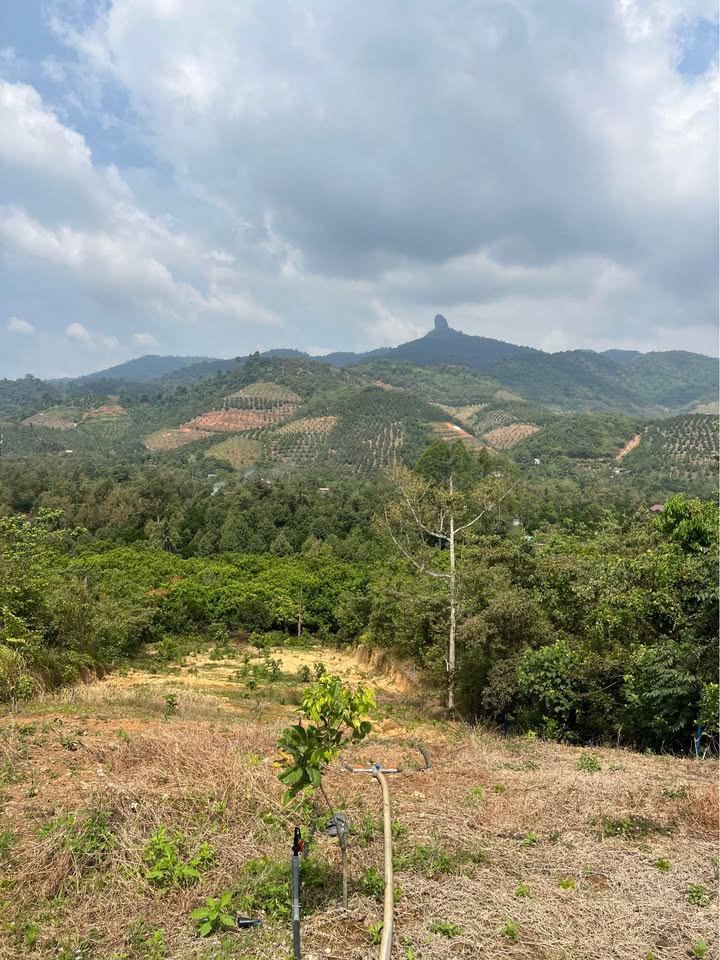 Bán Đất Đạ Huoai Lâm Đồng 1700m² Giá 1 Tỷ - Tiềm Năng Tăng Giá!