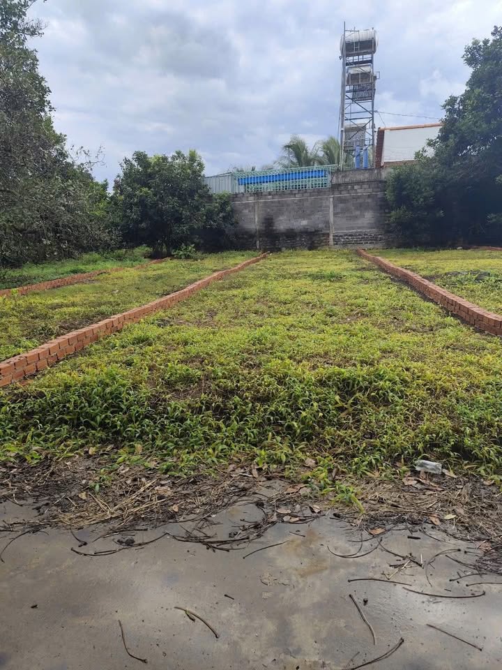 Đất nền Bảo Hòa, Xuân Lộc 125m² - Sổ riêng, giá chỉ hơn 600 triệu!