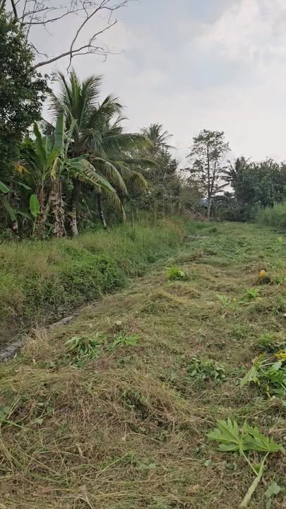 Đất nền Long Hòa, Châu Thành, Trà Vinh 840m² Pháp lý rõ ràng